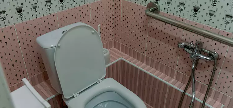Meeting Diverse Needs With Accessible Restroom Solutions in Decatur, IL